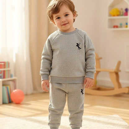 Ensemble deux pièces pour bébé garçon, automne et hiver, mode décontractée et facile, couleur unie, manches longues, pantalon long, motif brodé exquis, pour l'extérieur