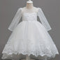 Nouvelle robe de princesse en dentelle de marque tendance, robe à volants brodée pour mariages, anniversaires, piano et autres occasions spéciales